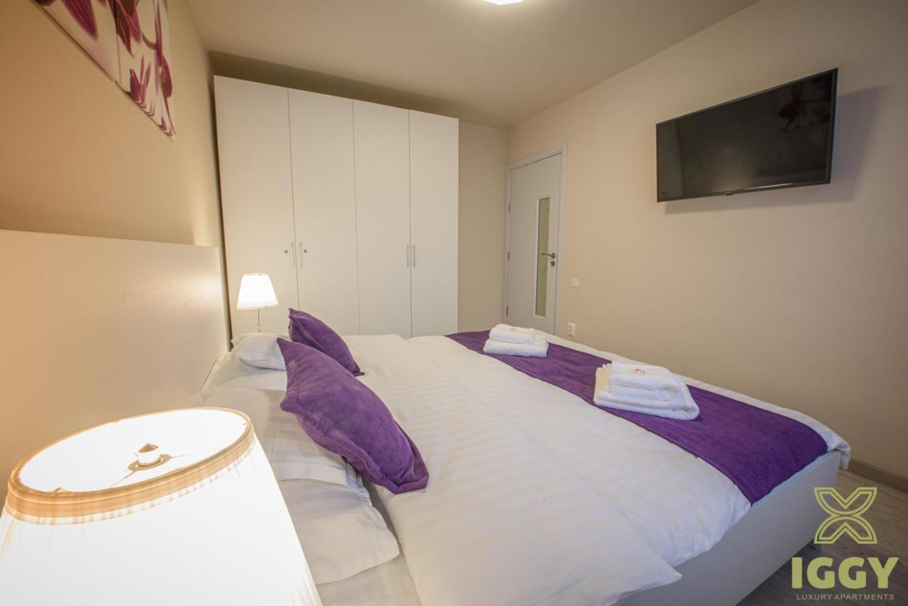 Iggy Luxury Apartment Хунедоара Экстерьер фото