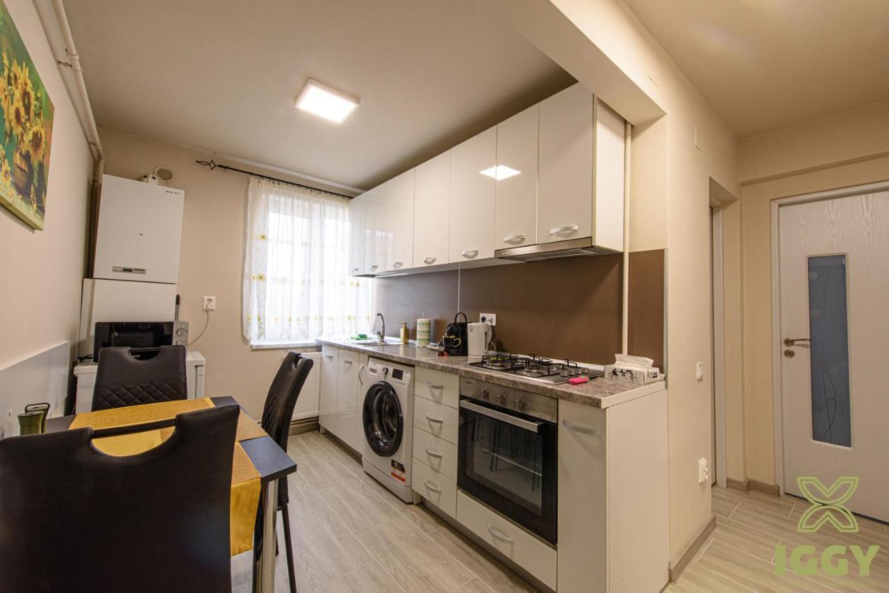 Iggy Luxury Apartment Хунедоара Экстерьер фото
